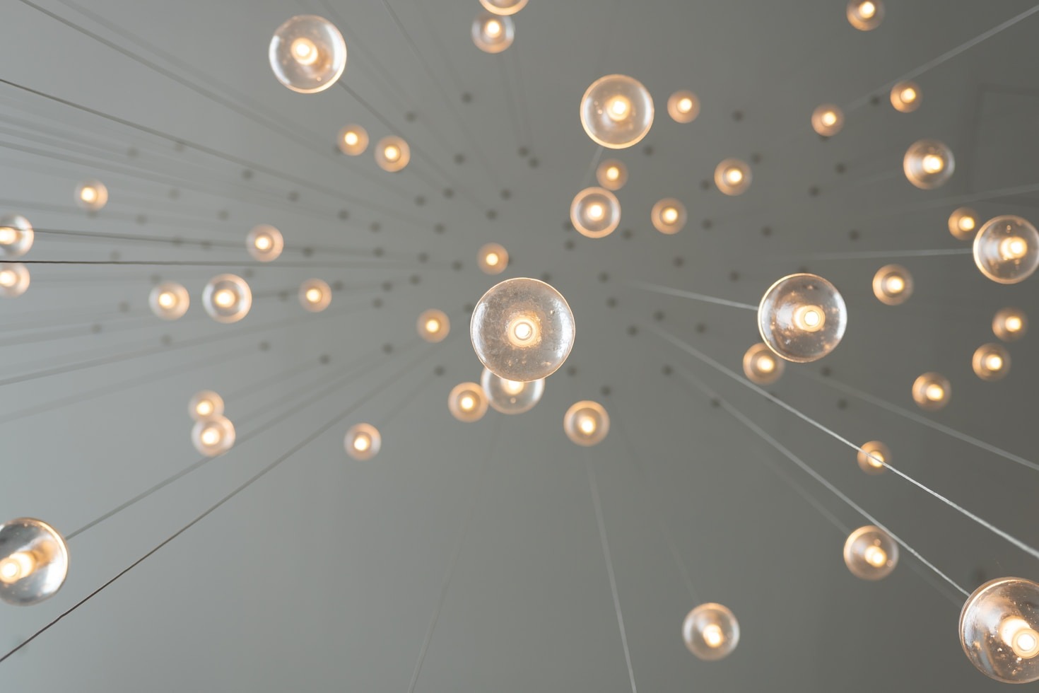 Plum Crazy Solutions: A New Era in Marketing